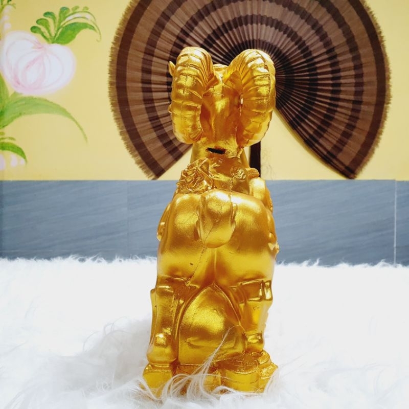 Dê vàng tiết kiệm kích thước to