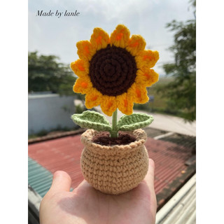 Chậu len hoa hướng dương mini để bàn