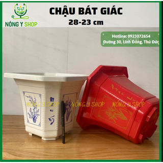 Size 28-23 chậu bát giác, chậu nhựa như ý cát tường, chậu trắng xanh, đỏ vàng,chậu in hoa, chậu nhựa cứng, chậu cây cảnh