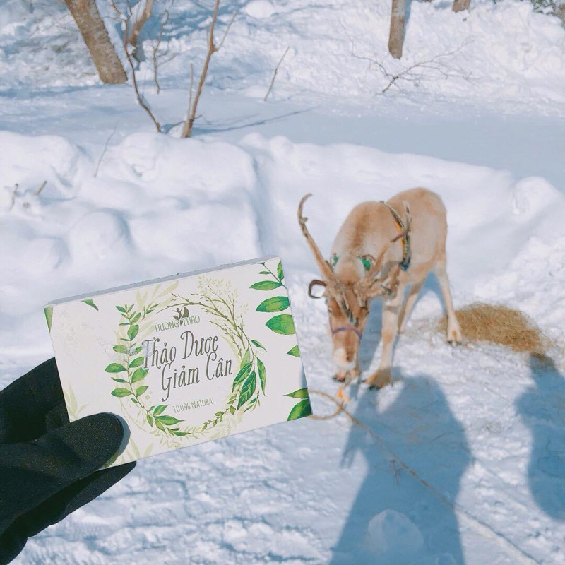 THẢO DƯỢC HƯƠNG THẢO