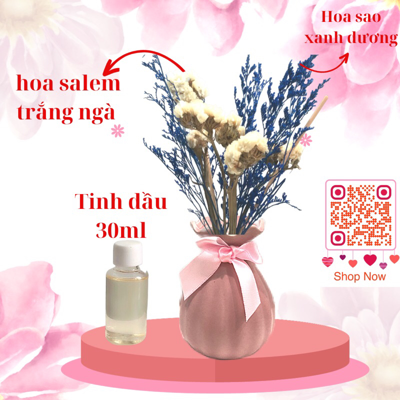 Tinh dầu thơm phòng lọ gốm nhỏ xinh hoa khô hương thơm nhẹ nhàng, bộ tinh dầu thơm phòng lọ gốm nhỏ xinh decord