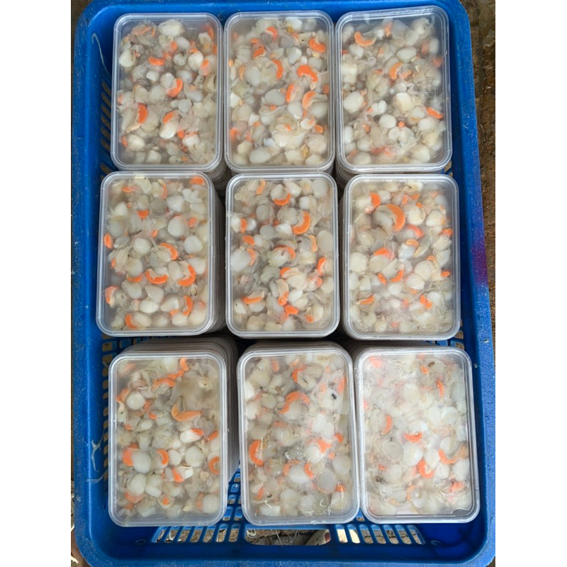 Còi sò không trứng - siêu ngọt -1kg