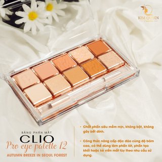 Bảng phấn mắt CLIO Pro Eye Palette (#2 #11 #15 #12)