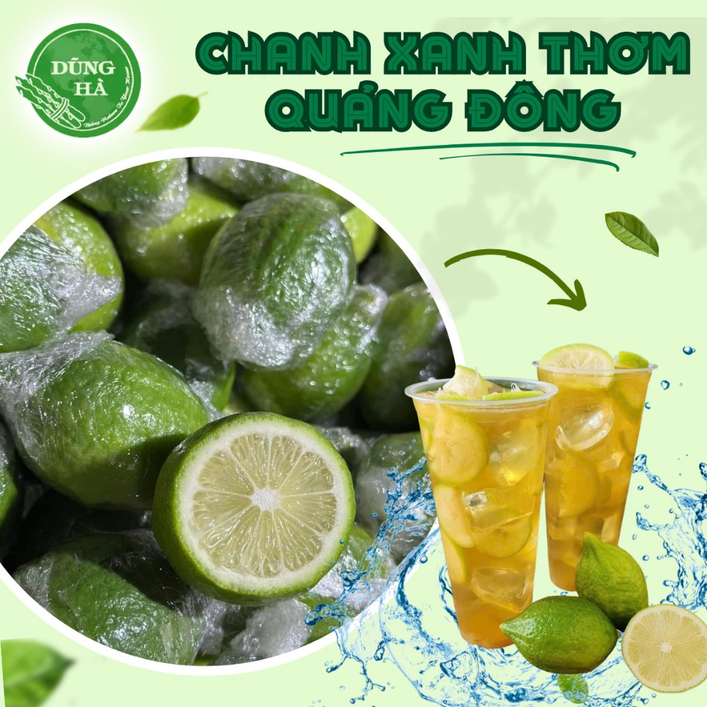 Chanh Xanh Quảng Đông Tươi - Chanh Nước Hoa - Chanh thơm làm trà chanh giã tay RẺ NHẤT hỏa tốc / Hà 