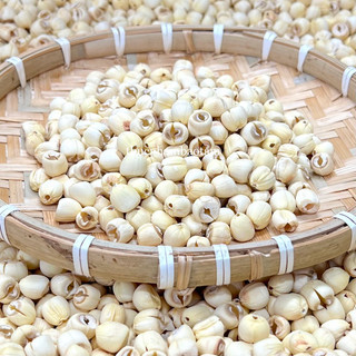 Hạt sen huế khô - hàng loại 1