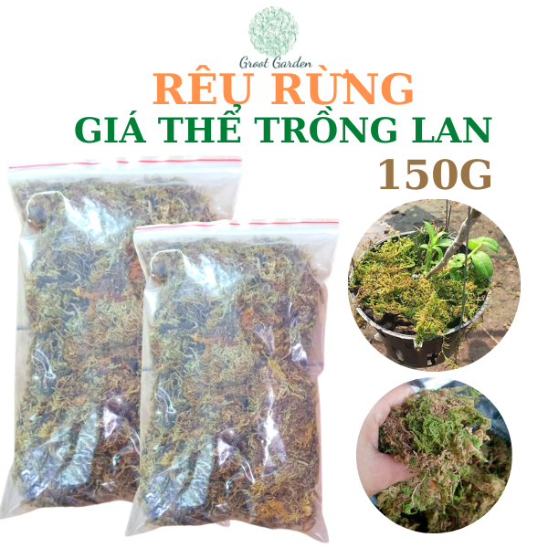 Rêu rừng gói 150g dùng trồng lan đã qua xử lý sạch sẽ