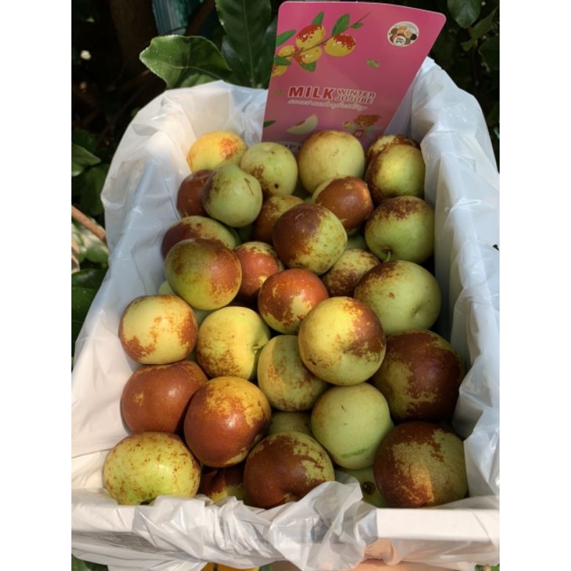 Hồng táo VIP nguyên box