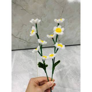 Cành cúc hoạ mi kẽm nhung