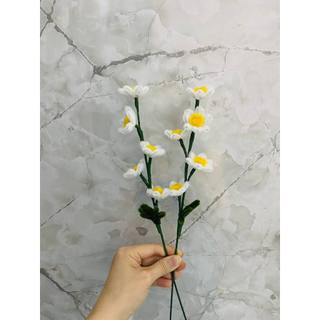 Cành cúc hoạ mi kẽm nhung