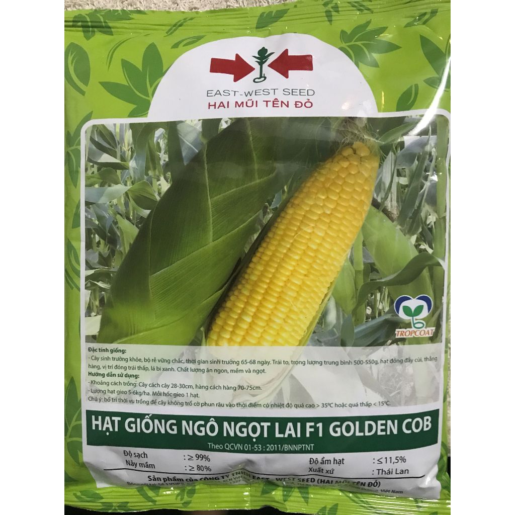  Hạt giống ngô ngọt  bắp mỹ  lai F1 GOLDEN COB Hai Mũi Tên Đỏ gói 500gram 