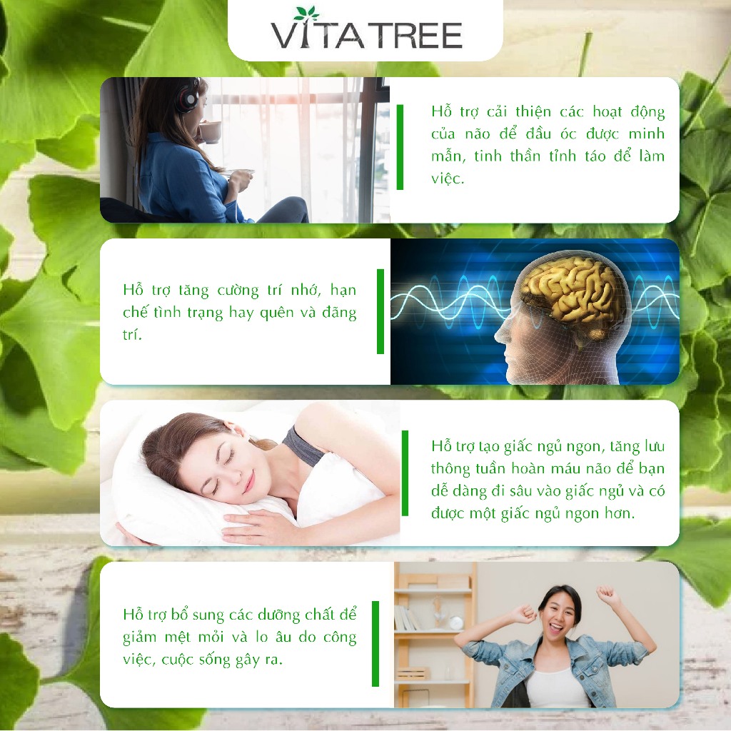 Bổ não Vitatree Ginkgo Plus 6000 With Q10 50mg 60 viên giúp tăng cường tuần hoàn não, cải thiện trí nhớ, giảm căng thẳng