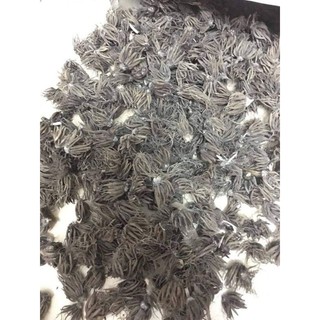 củ giống hoa mao lương 5 màu