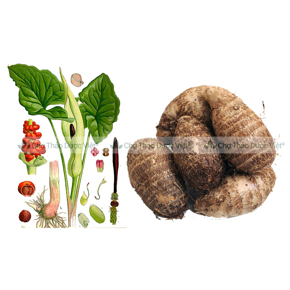 Củ ráy khô 1kg, hàng thái lát, thơm, sạch - Chợ Thảo Dược Việt