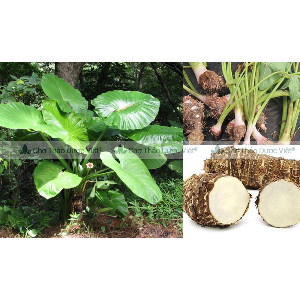 Củ ráy khô 1kg, hàng thái lát, thơm, sạch - Chợ Thảo Dược Việt