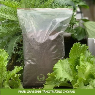 Phân gà đã qua xử lý, phân gà vi sinh ủ hoai bổ sung vi sinh vật cho đất