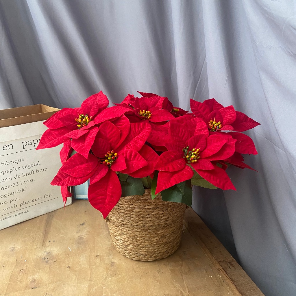 Hoa Giả, Hoa Trạng Nguyên Cành 5 Bông Chất Nhung Cao Cấp