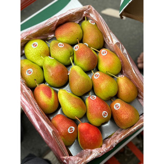 Lê má hồng Nam Phi size 60- Hàng mới (1kg~4 trái)