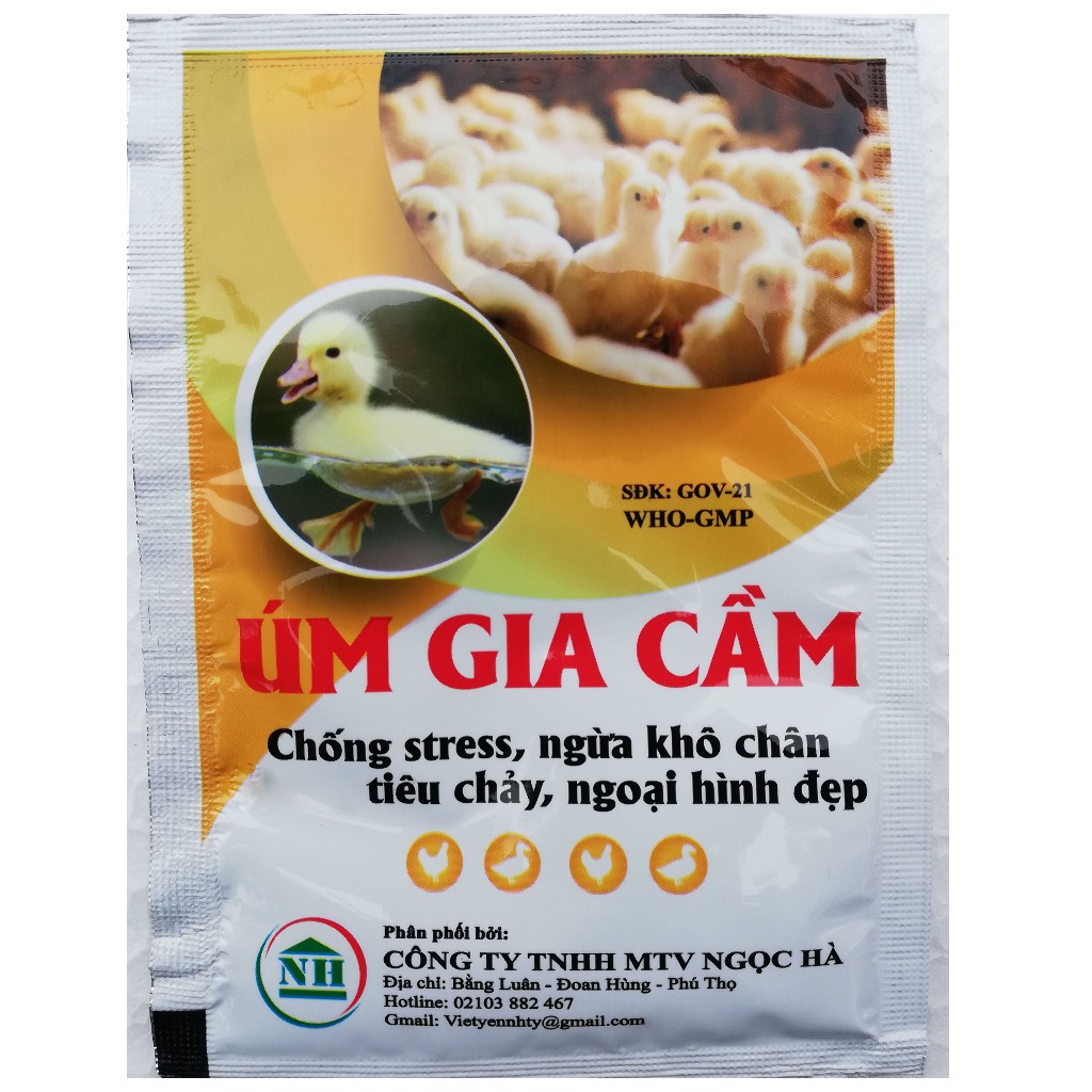 1 Gói ÚM GIA CẦM, THỦY CẦM 10g Kích thích ăn nhiều, lớn nhanh, ngoại hình đẹp, nhanh tiêu lòng đỏ