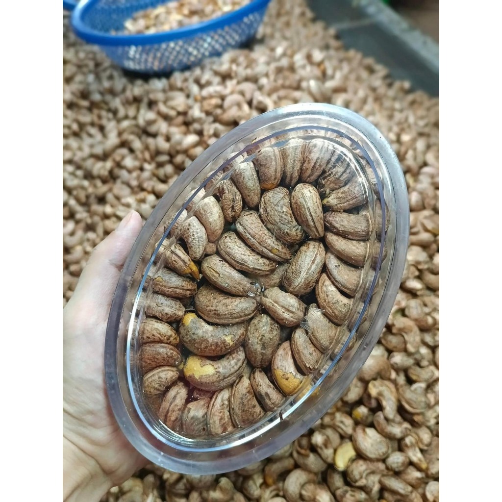 Hạt điều rang muối Organic Loại 1- 500gr