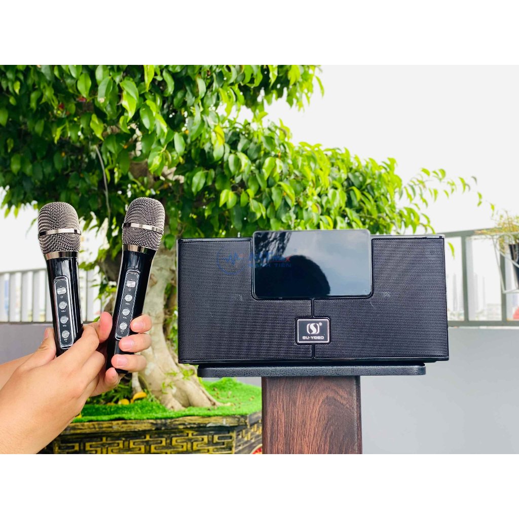 Loa Di Động Karaoke 2 Micro Hát Karaoke YS208 Bass Trầm Cực Chuẩn Công Suất 35W