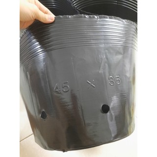 1 cái bầu ươm cây chọn size