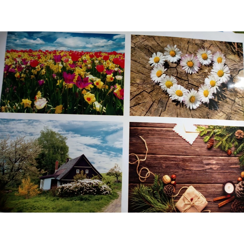 Giấy in ảnh A3 ĐL230gsm, bóng 1 mặt, 20 tờ/ tệp - Giấy in ảnh