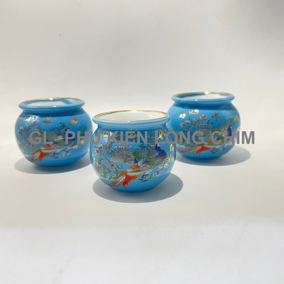 Cóng Chim chào mào cao cấp, cóng giáp vàng