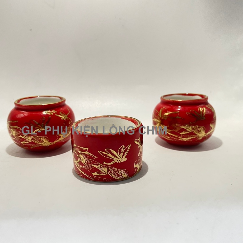 Cóng Chim chào mào cao cấp, cóng giáp vàng