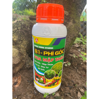 Phân bón phì gốc mai-vua mập thân chai 500ml