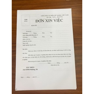 Mẫu đơn xin việc chuẩn giấy mịn- 1 tờ