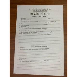 Đơn mẫu sơ yếu lý lịch-1 tờ