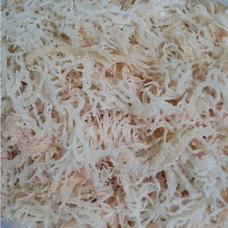 100g - Rong sụn chân vịt