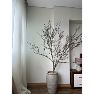 Cành cây khô decor trang trí hoa giả, cắm hoa mai, hoa đào, trang trí trung thu, decor cành cây quả hồng, treo đèn lồng