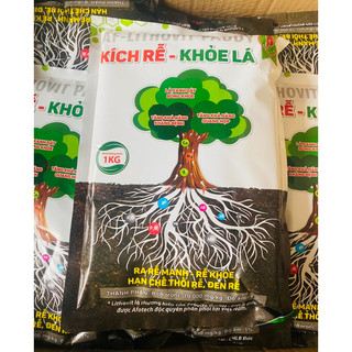 Af-lithovit paddy _ kích rễ khoẻ lá ra rễ mạnh, rễ khoẻ, hạn chế thối rễ đen rễ