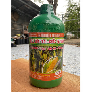 Phân bón siêu to bắp-chắc hạt bắp