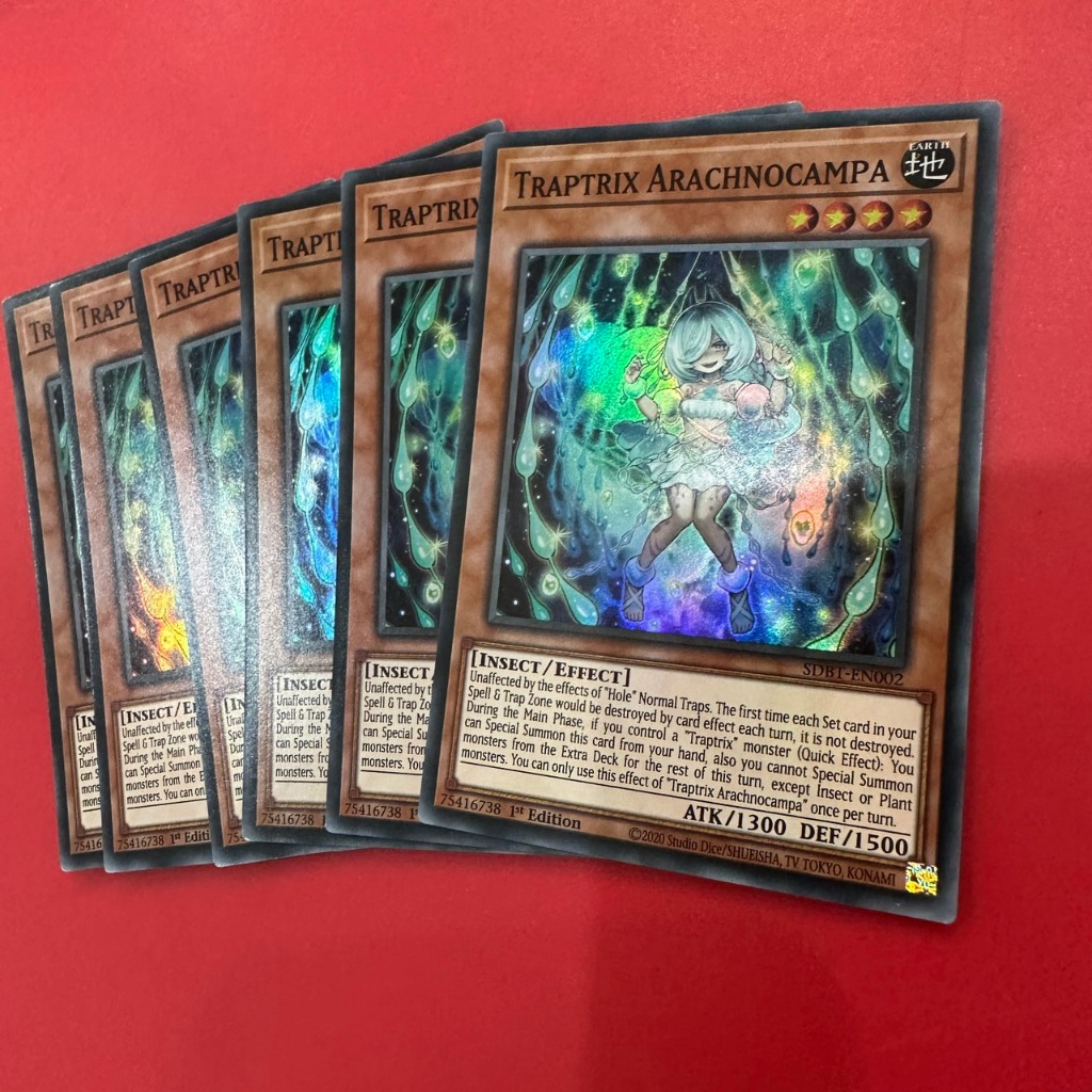 Traptrix Arachnocampa