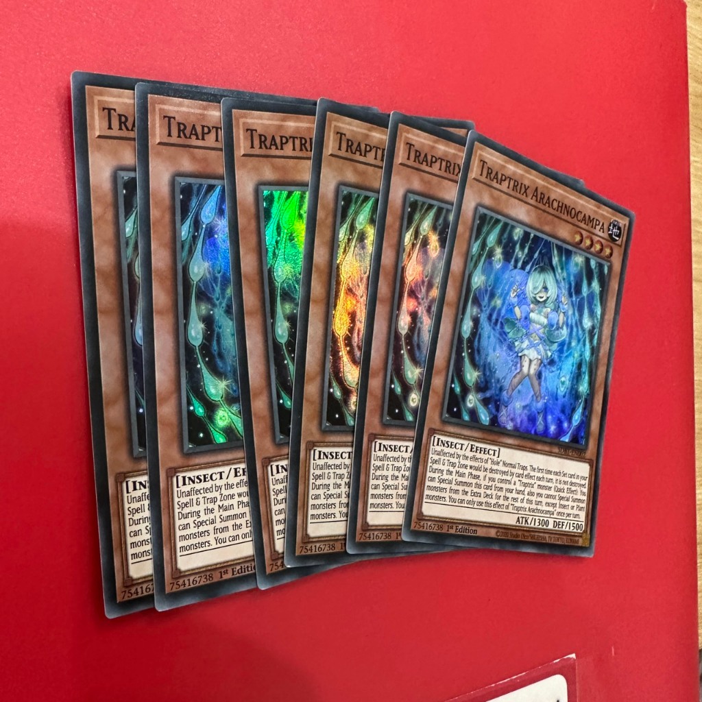 Traptrix Arachnocampa