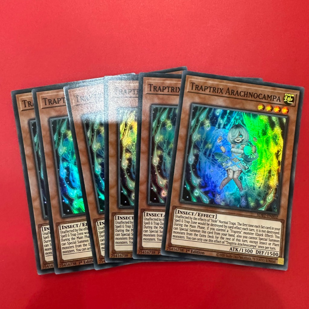 Traptrix Arachnocampa