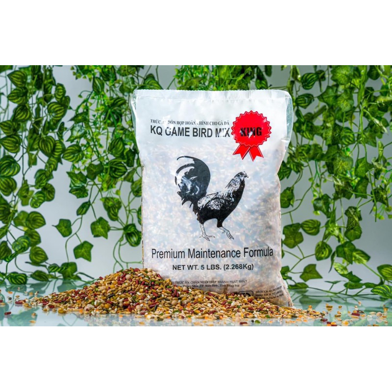 Ngũ cốc gà đá KQ Gamebird King - túi 2kg
