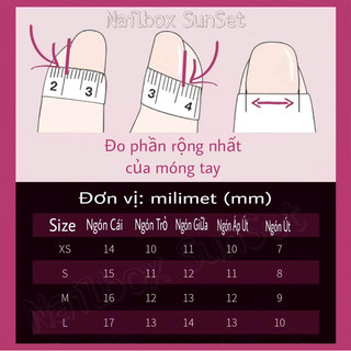Nailbox Thiết Kế