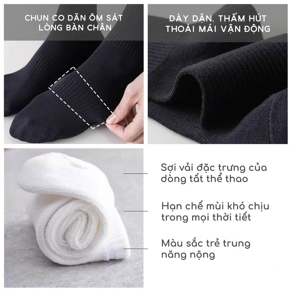 Set tất nam cổ cao, trung chất cotton vớ dài nữ trơn basic khử mùi thoáng khí phong cách unisex Hàn Quốc