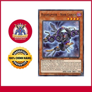 Raidraptor-Noir Lanius