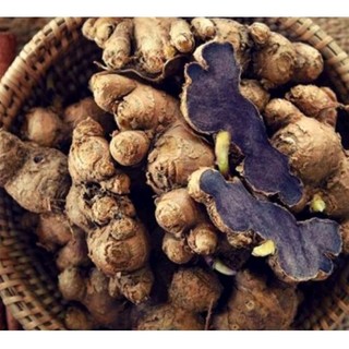 500g Giống Gừng đen đậm già đanh nhanh mọc mầm rễ