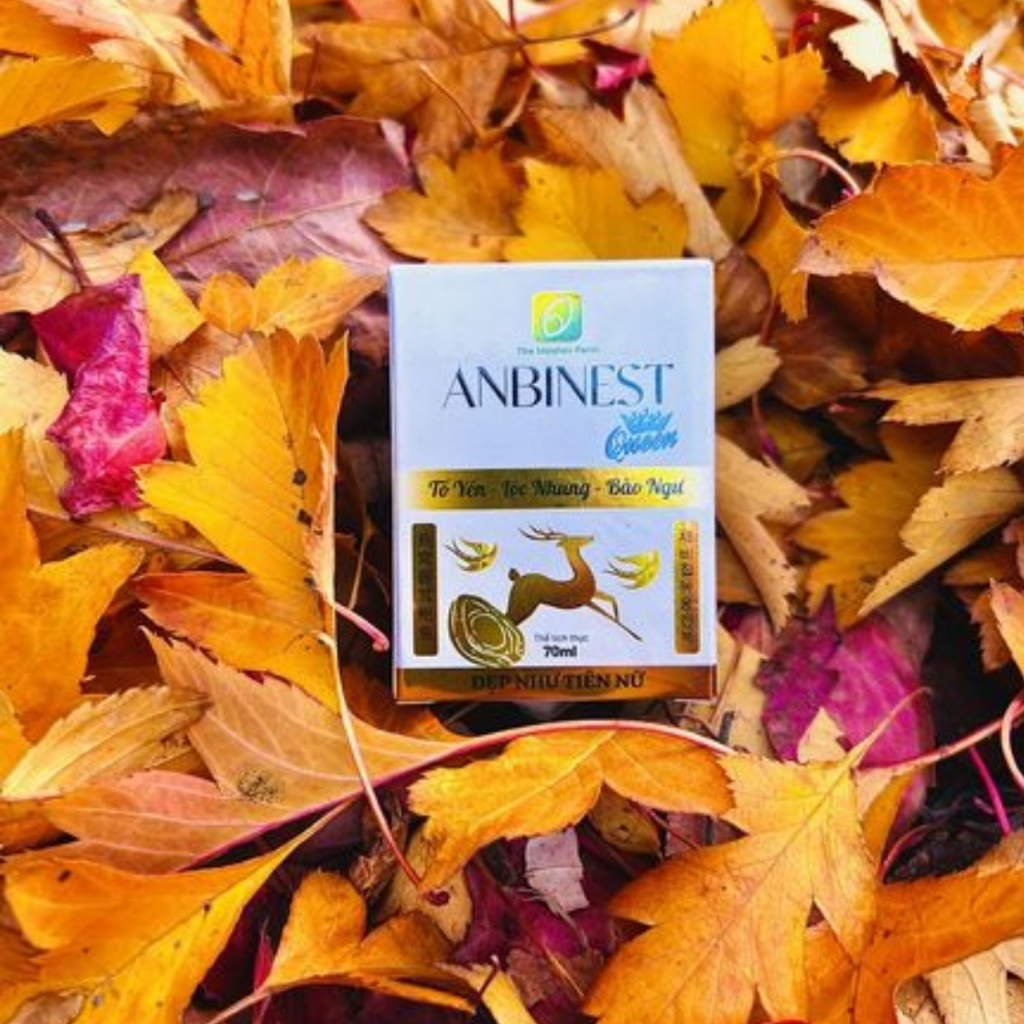 Tổ Yến Nhung Hươu Bào Ngư Anbinest Queen, Yến nhung chưng Bào Ngư Collagen Đường Phèn The Moshav Farm