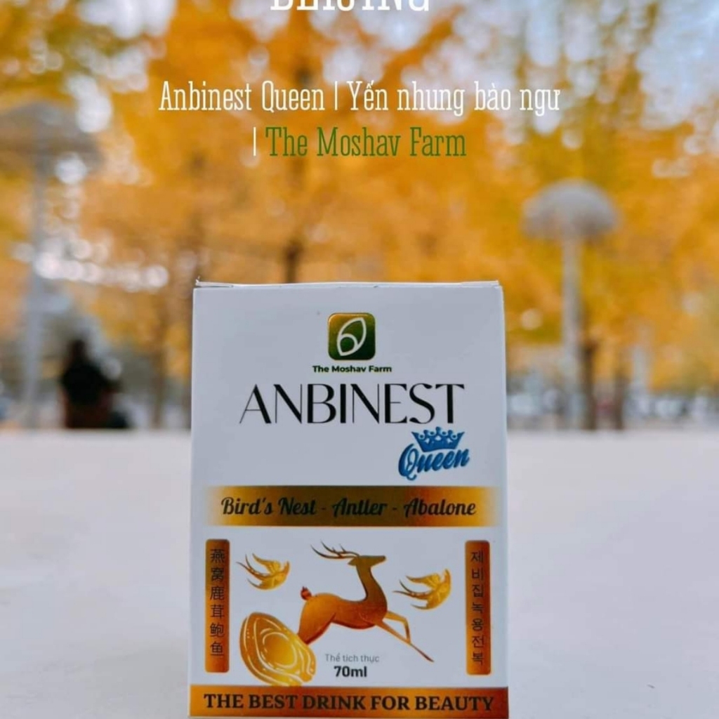 Tổ Yến Nhung Hươu Bào Ngư Anbinest Queen, Yến nhung chưng Bào Ngư Collagen Đường Phèn The Moshav Farm