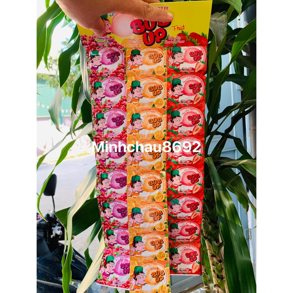Kẹo cao su BUB UP LOTTE - túi 24 chiếc đủ 3 vị dâu cam nho