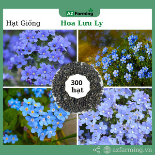 Hạt giống hoa lưu ly - gói 300 hạt - az farming