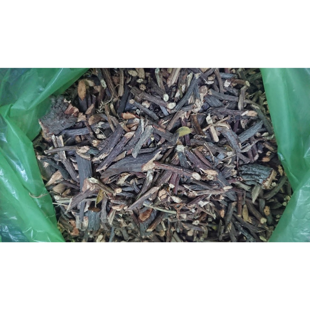 Gốc nhãn lồng phơi khô