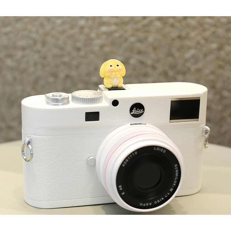 HOTSHOE CHE CHÂN FLASH CHO MÁY ẢNH HÌNH THỎ