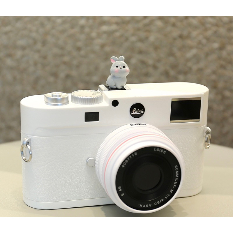 HOTSHOE CHE CHÂN FLASH CHO MÁY ẢNH HÌNH THỎ